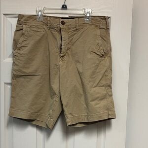 American Eagle Outfitters Khaki Flat Front Shorts